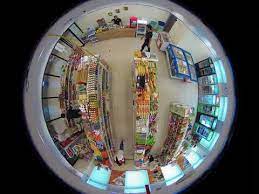 Panoramic Dome Camera