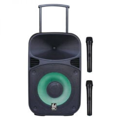 בידורית קריוקי Bluetooth ניידת 15″ עם 2 מיקרופונים