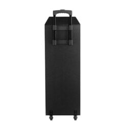 בידורית קריוקי‎ 2x12″ עם Bluetooth ו–2 מיקרופונים אלחוטיים