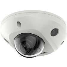 DS-2CD2543G2-I(WS)
