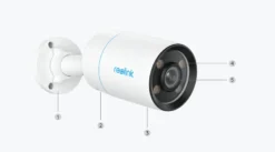 CX810