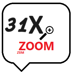 X31