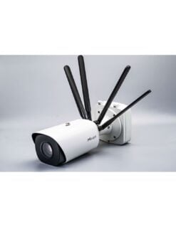 MS-C2966-X12RGPC