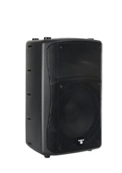 FP8P- Passive - Mini passive full range  speaker - 8"